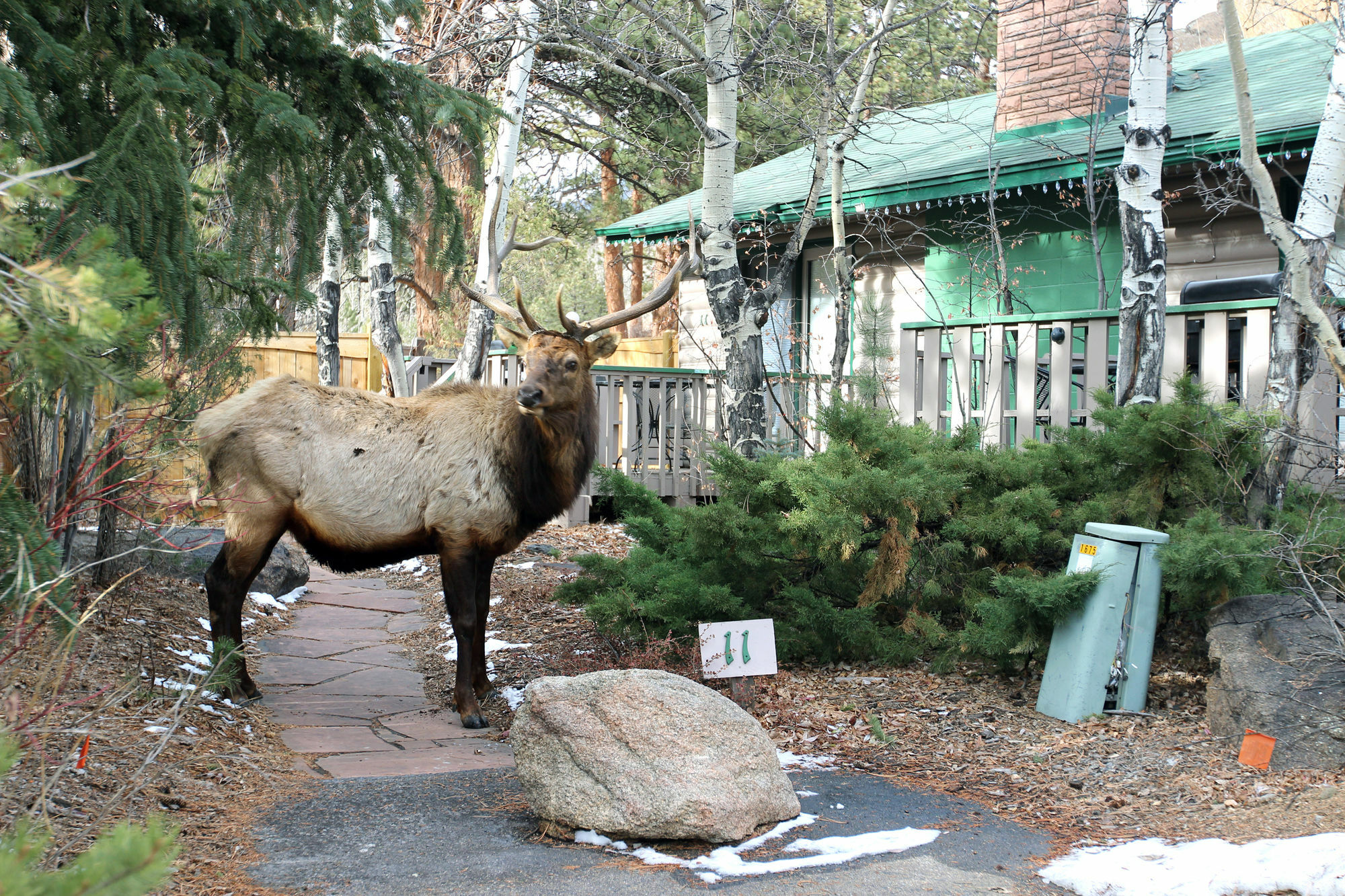 Sunnyside Knoll Resort Estes Park Eksteriør bilde